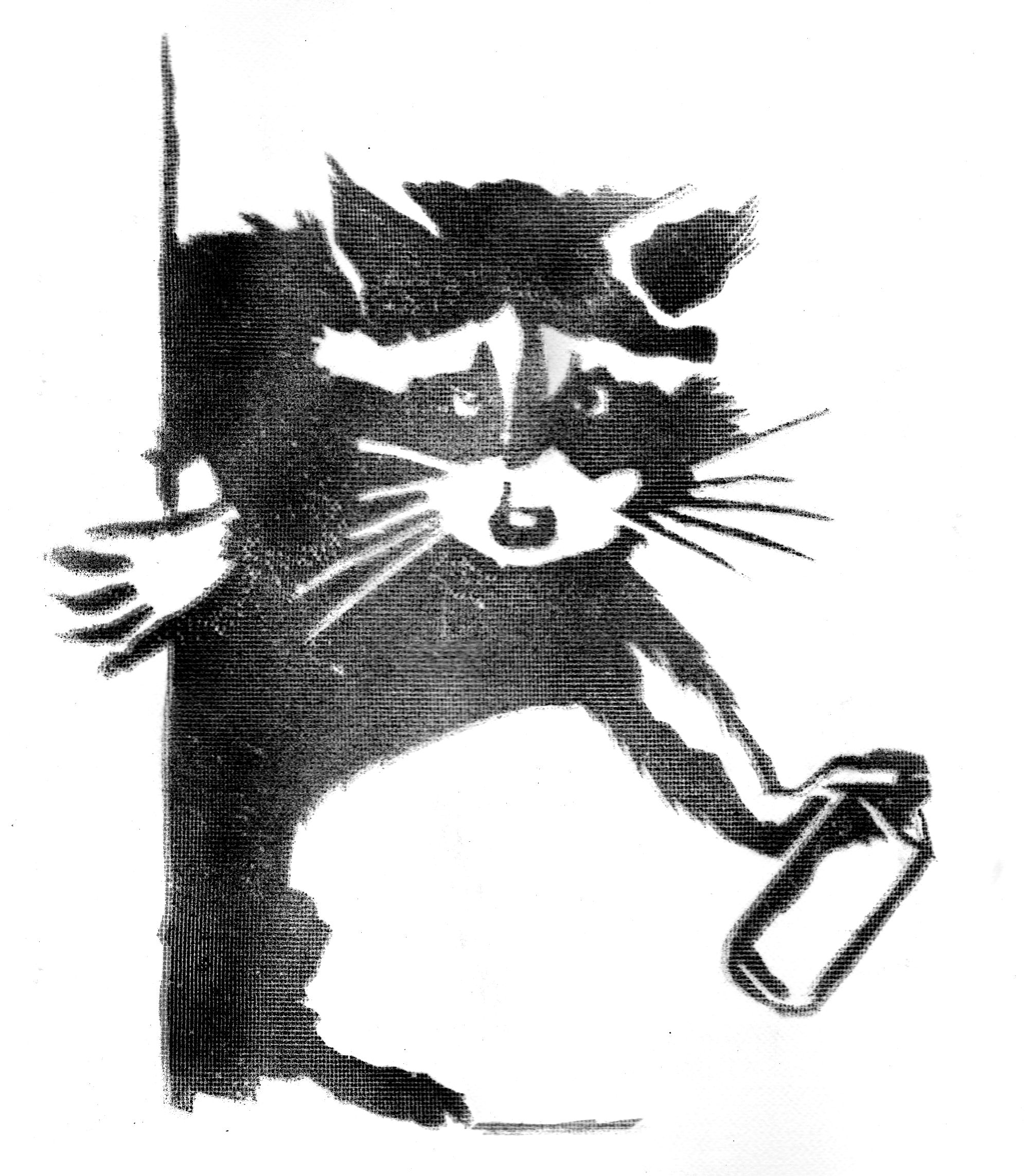 Raccoon Spray stencil